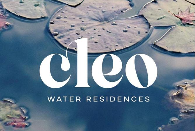 8667217 - Property Image 2