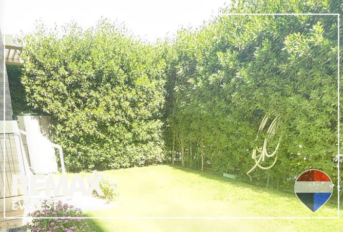 102062774 - صورة العقار 3