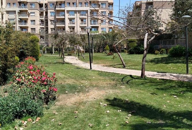 98549862 - Property Image 3