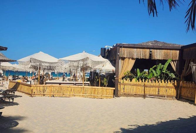 66687626 - صورة العقار 2