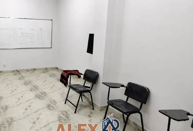 100084495 - صورة العقار 2