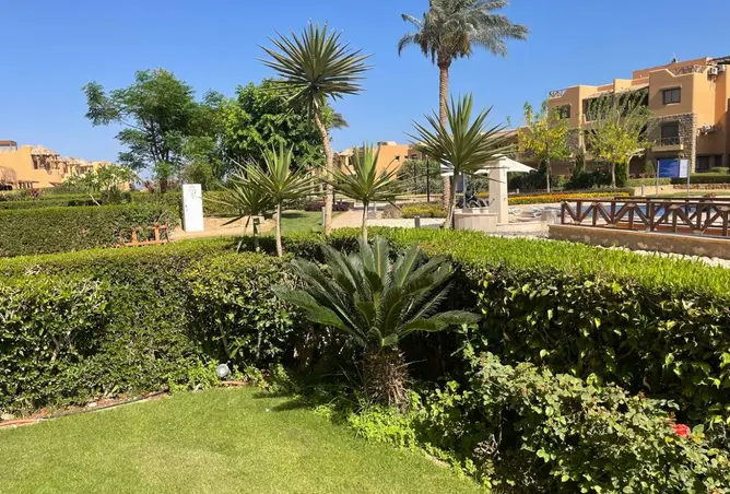 115448738 - صورة العقار 3