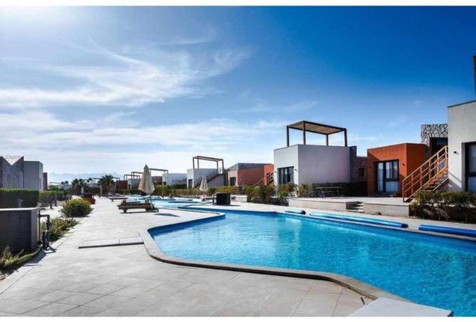 64903504 - Property Image 3