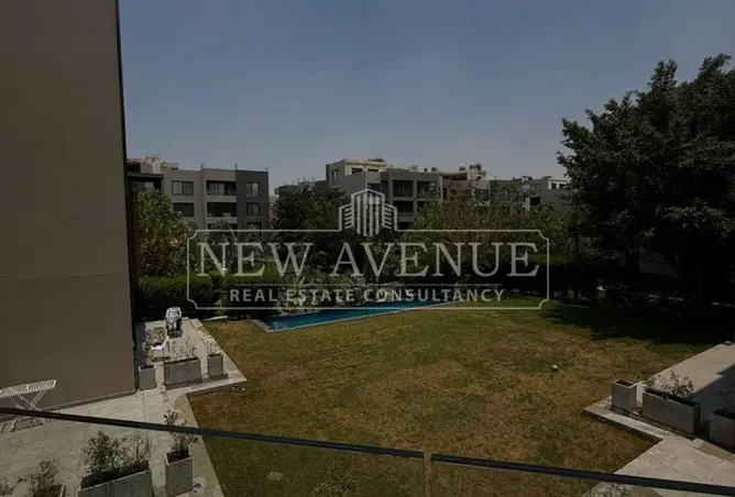 113258655 - Property Image 3
