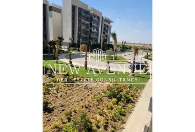 57241501 - Property Image 2