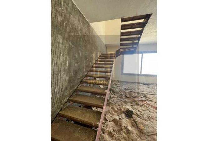 56250605 - Property Image 3