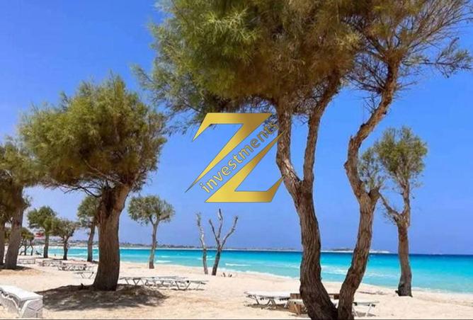 77602882 - الصورة الرئيسية للعقار