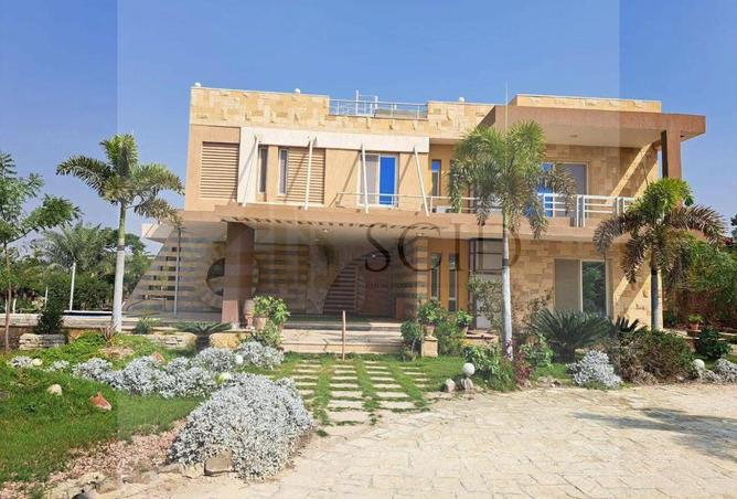 68538884 - الصورة الرئيسية للعقار