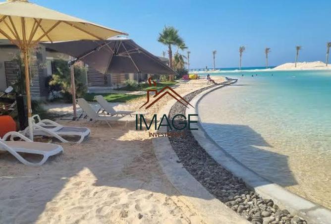 53732752 - Property Image 2