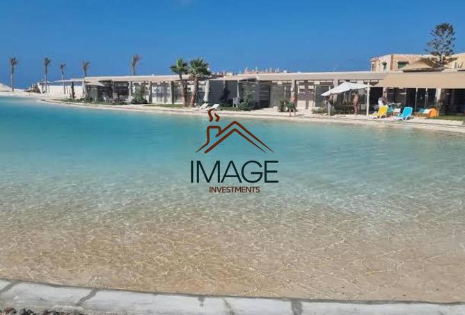 53732752 - Property Image 3