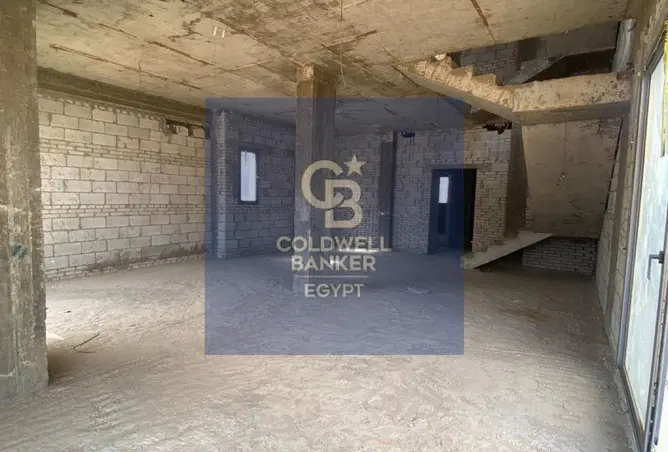 115175467 - Property Image 2