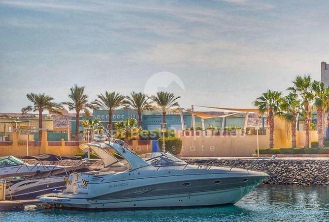 8690816 - Property Image 3