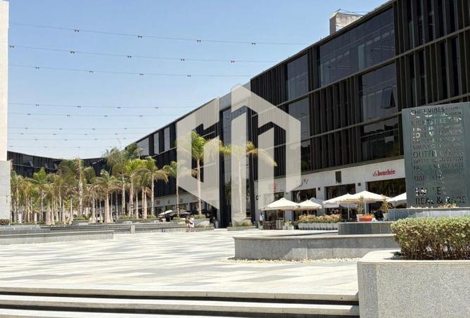 93816317 - Property Image 3