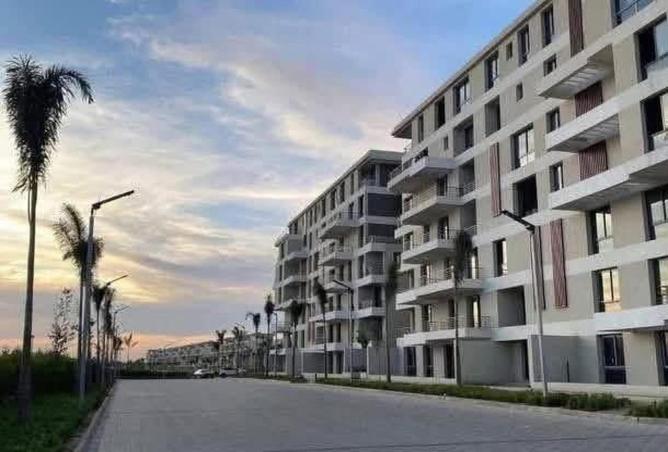 97146879 - صورة العقار 3