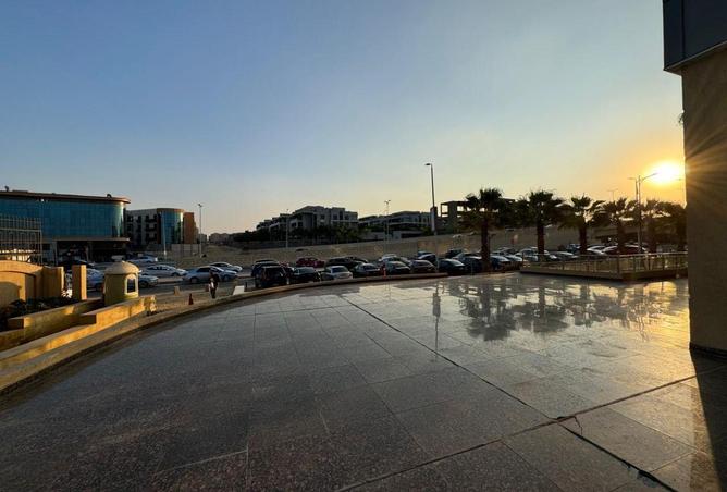 8710464 - Property Image 3