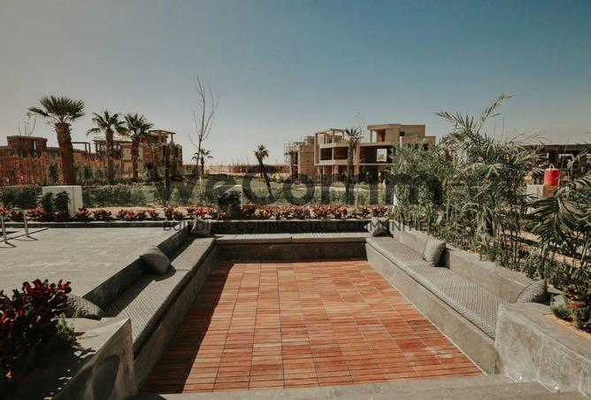 66434034 - Property Image 3