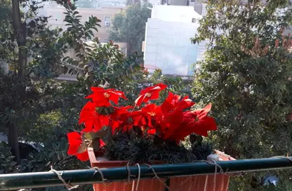 Apartment - 2 Bedrooms - 2 Bathrooms for rent in Shafik Mansour St. - Zamalek - Cairo