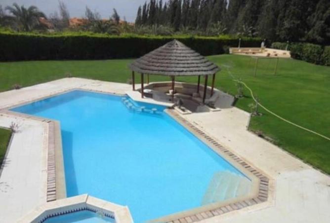 87516417 - صورة العقار 3