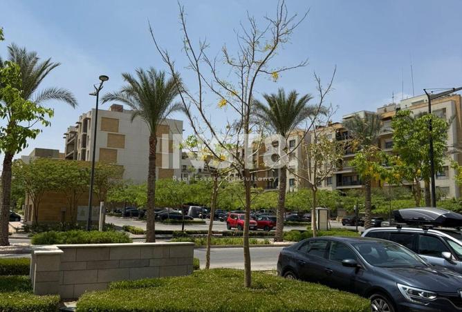 55995602 - Property Image 3