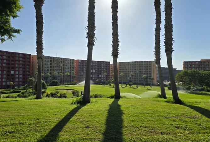 8594532 - صورة العقار 2