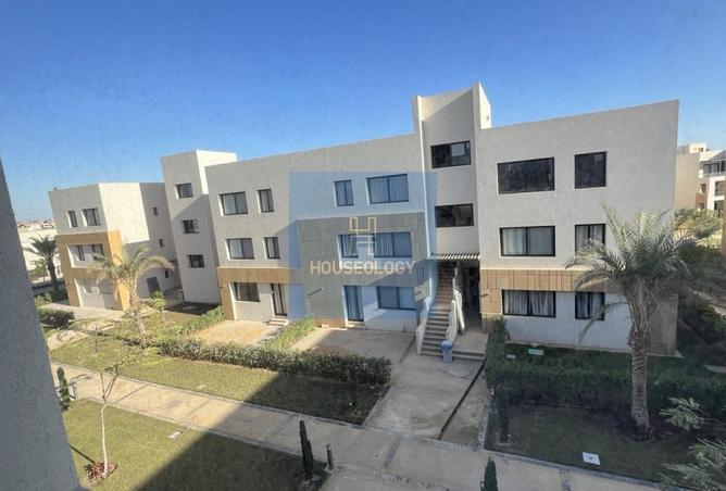 65167368 - Property Image 3