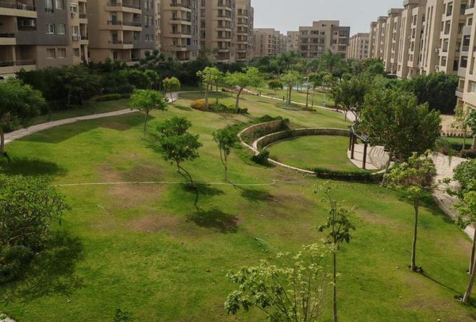 8465106 - Property Image 3