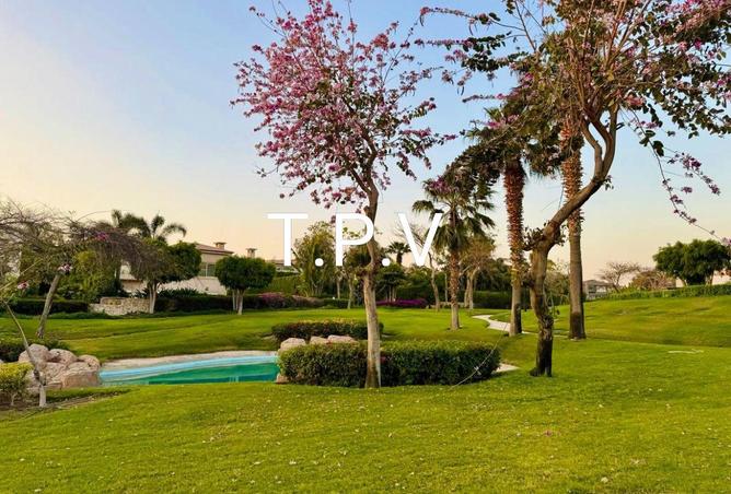 54236322 - Property Image 3