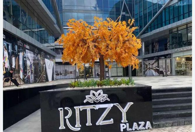 68785738 - Property Main Image