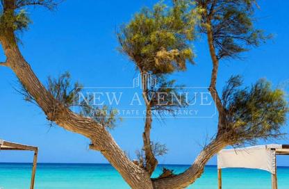 Chalet - 3 Bedrooms - 2 Bathrooms for sale in Seazen - Qesm Ad Dabaah - North Coast