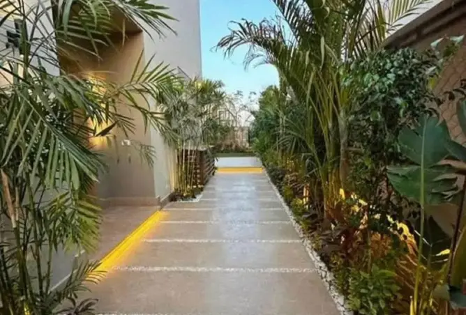115454340 - Property Image 3