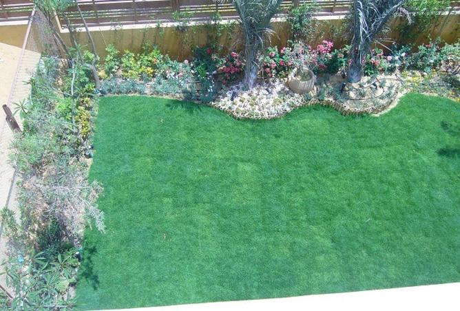 61924726 - Property Image 2