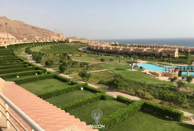 71388095 - صورة العقار 3