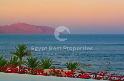 شاليه - 2 غرف نوم - 3 حمامات للبيع في مانجروفي ريزيدنس - الجونة - الغردقة - محافظة البحر الاحمر شاليه - 2 غرف نوم - 3 حمامات للبيع في مانجروفي ريزيدنس - الجونة - الغردقة - محافظة البحر الاحمر