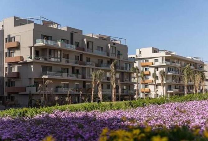 55002664 - صورة العقار 3