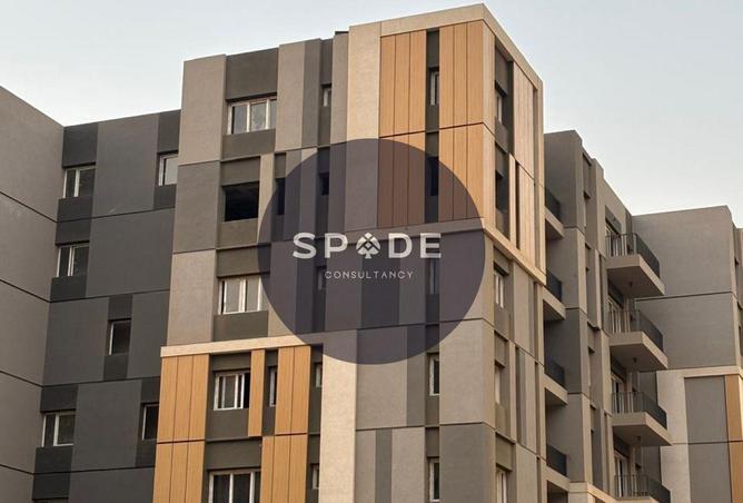 66434827 - Property Image 3