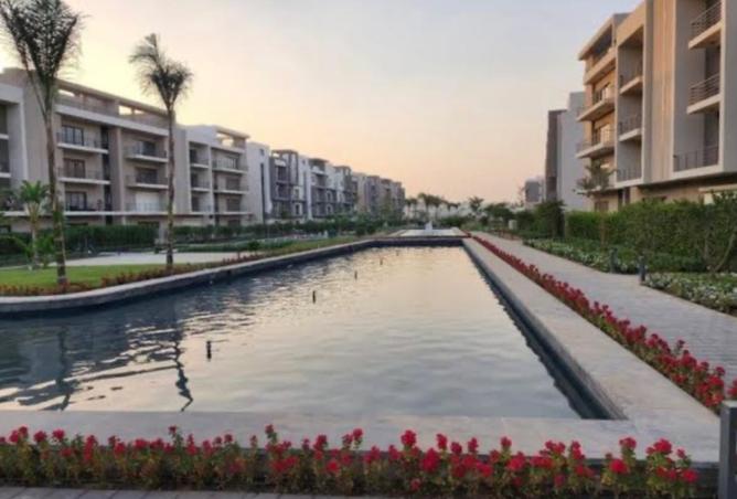 101202441 - Property Image 3