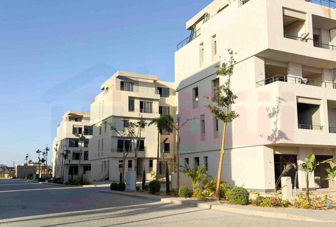 8669426 - Property Image 2