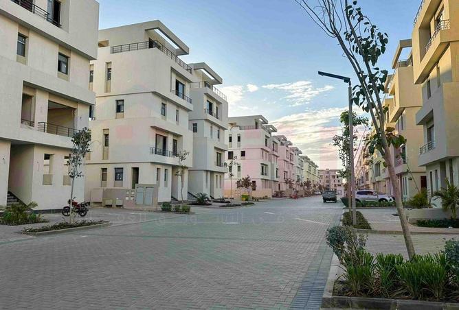 8669426 - Property Image 3