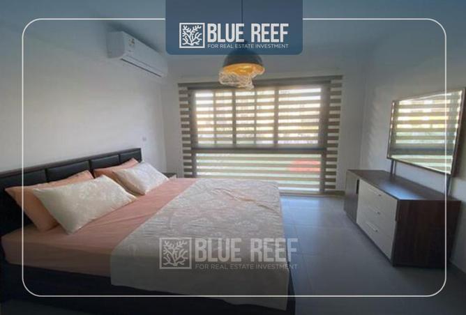 66956267 - صورة العقار 3