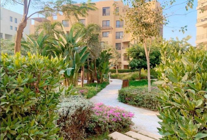 64895322 - صورة العقار 3