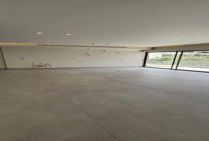 61205834 - Property Image 3