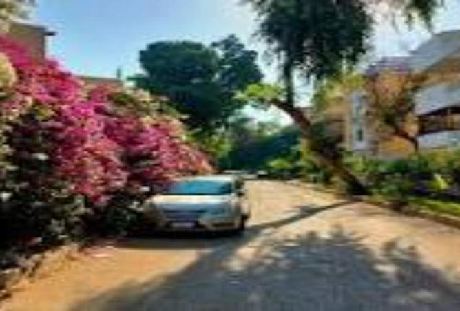 59244982 - صورة العقار 3