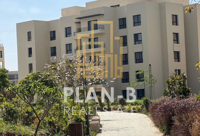 8576411 - Property Image 2