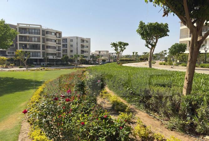 85867821 - صورة العقار 3