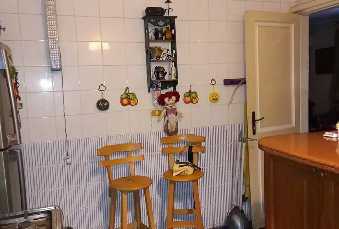 113256481 - Property Image 3