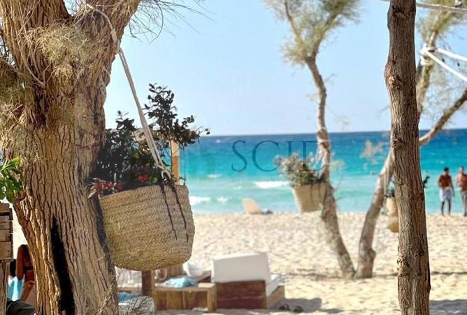 63635257 - الصورة الرئيسية للعقار