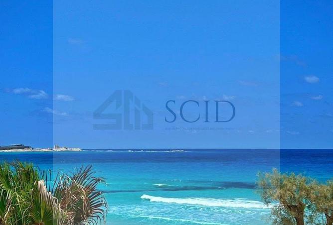 63635257 - صورة العقار 2