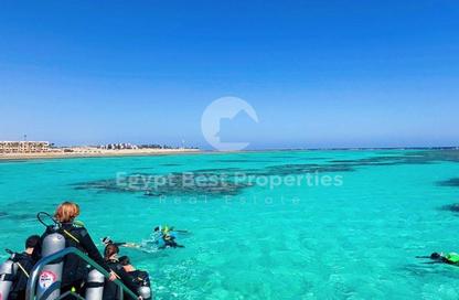 شاليه - 2 غرف نوم - 3 حمامات للبيع في واتر سايد - الجونة - الغردقة - محافظة البحر الاحمر شاليه - 2 غرف نوم - 3 حمامات للبيع في واتر سايد - الجونة - الغردقة - محافظة البحر الاحمر