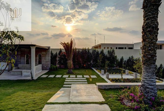 56250534 - Property Image 3