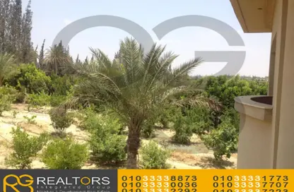 فيلا - 5 غرف نوم - 4 حمامات للبيع في طريق مصر اسكندرية الصحراوي - مدينة 6 أكتوبر - الجيزة